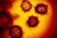 Китай выразил уверенность в скором завершении эпидемии коронавируса