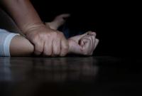 На Сумщині заарештували чоловіка, який намагався зґвалтувати 12-річну дівчинку та вбити її 7-місячну сестру