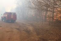 Пожар в Чернобыльской зоне: загрязненный воздух попадет в Киев