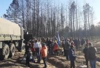 В Луганской области на месте пожаров волонтеры высадили более 10 тысяч деревьев