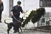 Власти Вены сообщили о задержанных по делу о теракте россиянах