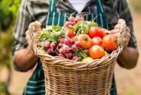 Фермери продають овочі за найнижчими за три роки цінами