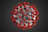Тесты показали, сколько коронавирус живет на окружающих нас предметах