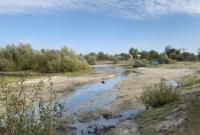 В Україні планують боротися із розорюванням прибережних смуг водойм