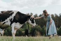 У Нідерландах з’явився новий тренд – обійми з коровами для зняття стресу