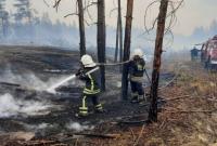 В Луганской области ликвидирован один из очагов масштабных пожаров