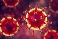 Госпродпотребслужба назвала пять основных действий для предотвращения коронавируса